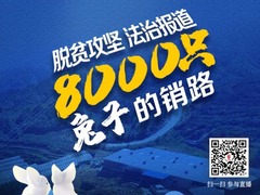 【直播天下】脱贫攻坚 法治报道：：8000只兔子的销路_fororder_微信图片_20200702145752