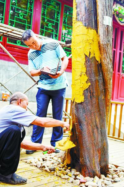 守护运河源 “龙泉漱玉”盛景再现