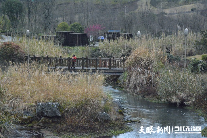 （中首）贵阳双龙生态公园：踏雪寻梅