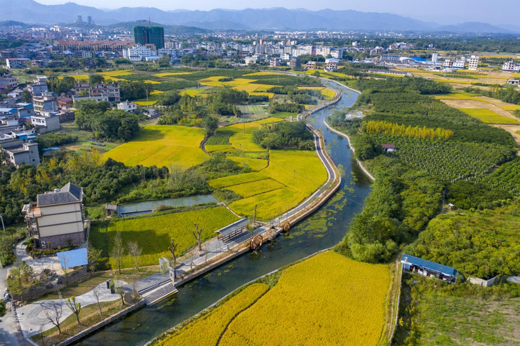 桂林兴安：“红绿金”交相辉映 绘就文旅绚丽画卷