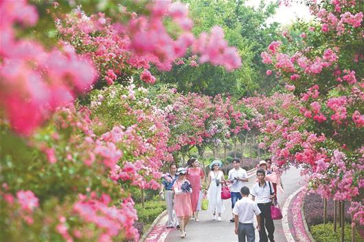 2019·武汉市第二届乡村旅游节开幕