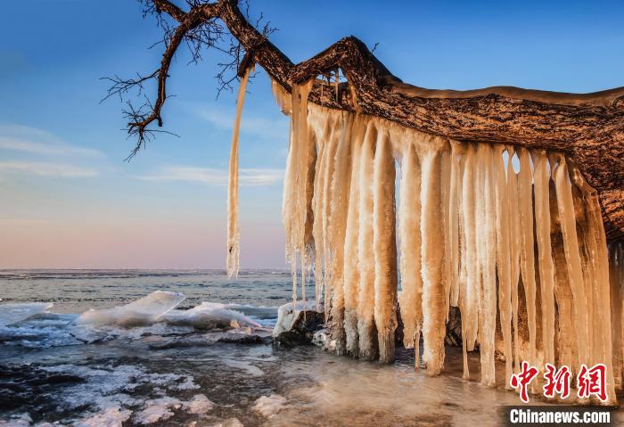 中俄界湖兴凯湖冰天雪地现美景