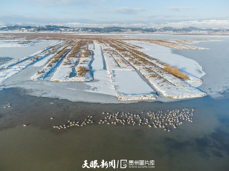 贵州威宁：春日草海 美景如画