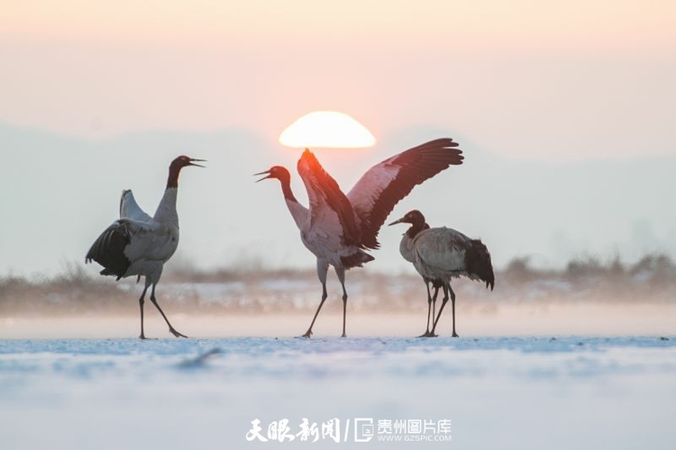 贵州威宁：春日草海 美景如画