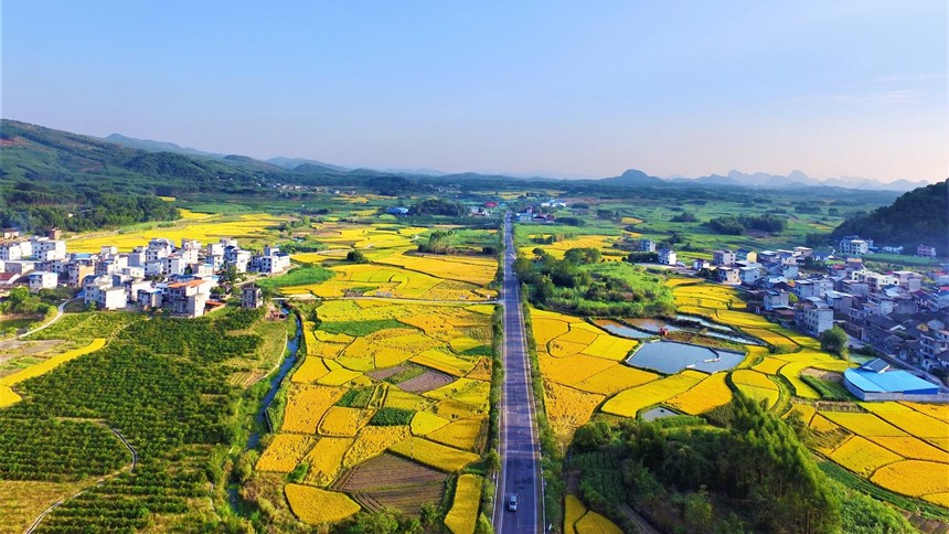 广西打造“壮美公路”服务经济高质量发展