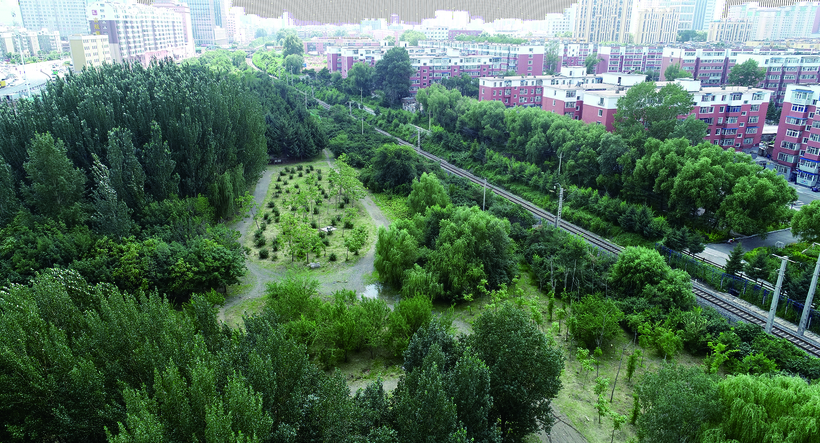 长春芙蓉植物园告别建筑垃圾烦扰