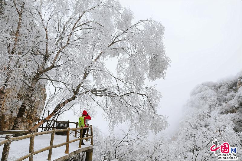 京郊绝美雪域王国 新年赶赴白石山冰雪季