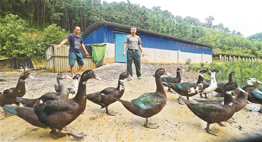 退伍老兵的扶贫新战场