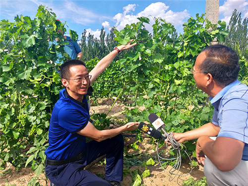 （有修改）“乘风破浪”的杨凌农科 让现代农业发展结出“致富果”