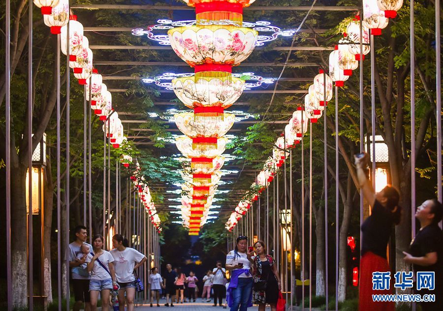 【城市远洋】洛阳：赏荷游园“消夏夜”