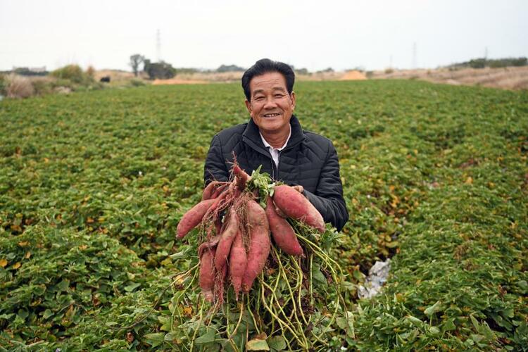 新春走基层丨撂荒地长出“万元田”