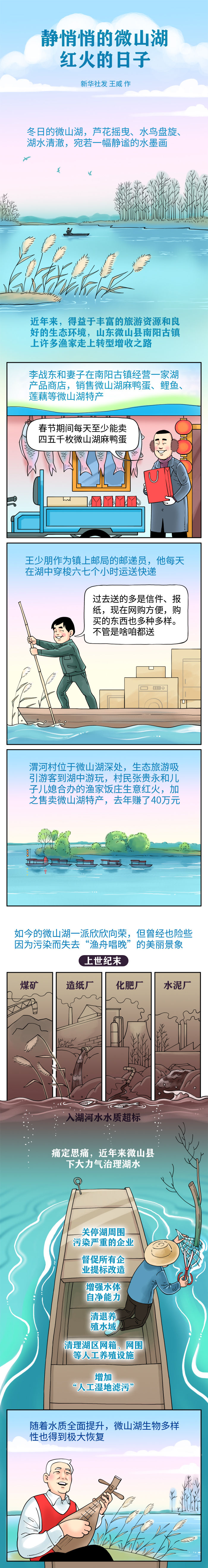 新春走基层·漫画|静悄悄的微山湖 红火的日子