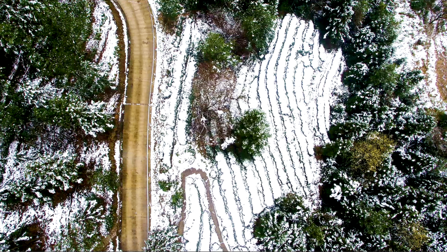 【城市远洋】重庆万州：春雪落山乡 四野美如画