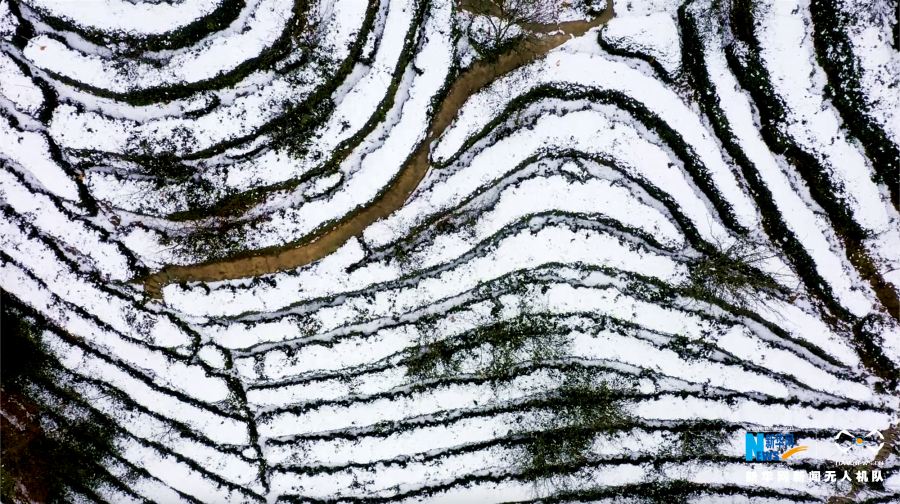 【城市远洋】重庆万州：春雪落山乡 四野美如画