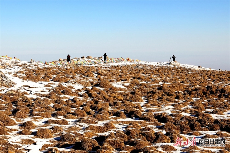 【大美甘肃+焦点图轮播图+文旅图片列表】肃南巴尔斯雪山秘境与瑞士阿尔卑斯风景相媲美