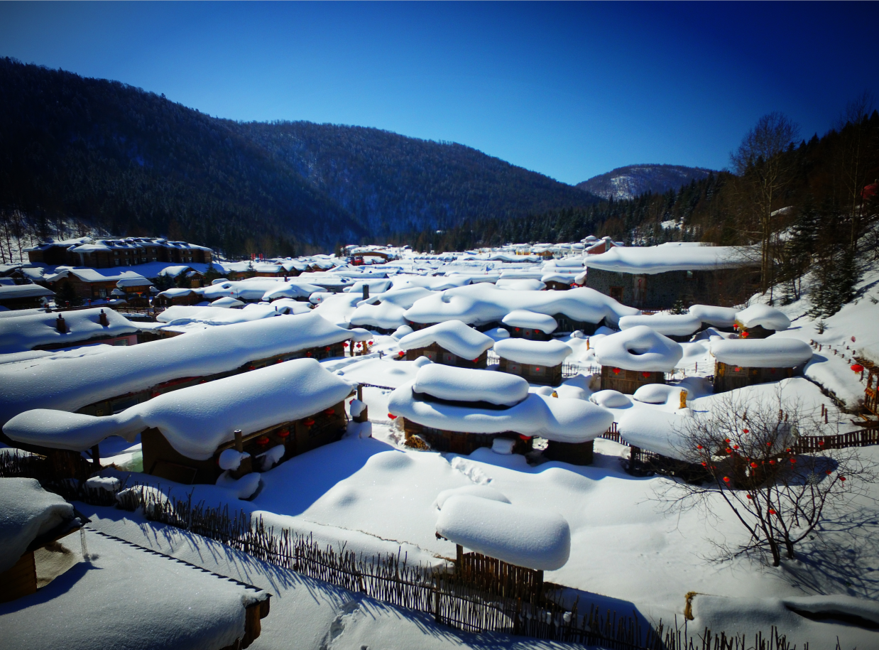 冰雪盛宴绽放龙江