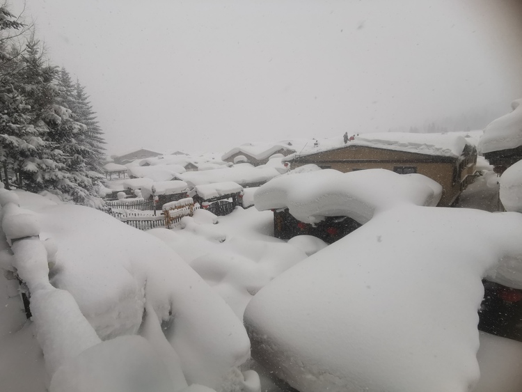 雪乡持续降雪！游人尽“尝”雪“蛋糕”