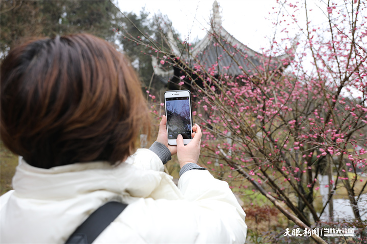 贵阳城市森林公园：择一处清幽 绵长在光阴里