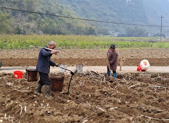 广西马山县：“农”墨重彩绘就乡村振兴新画卷