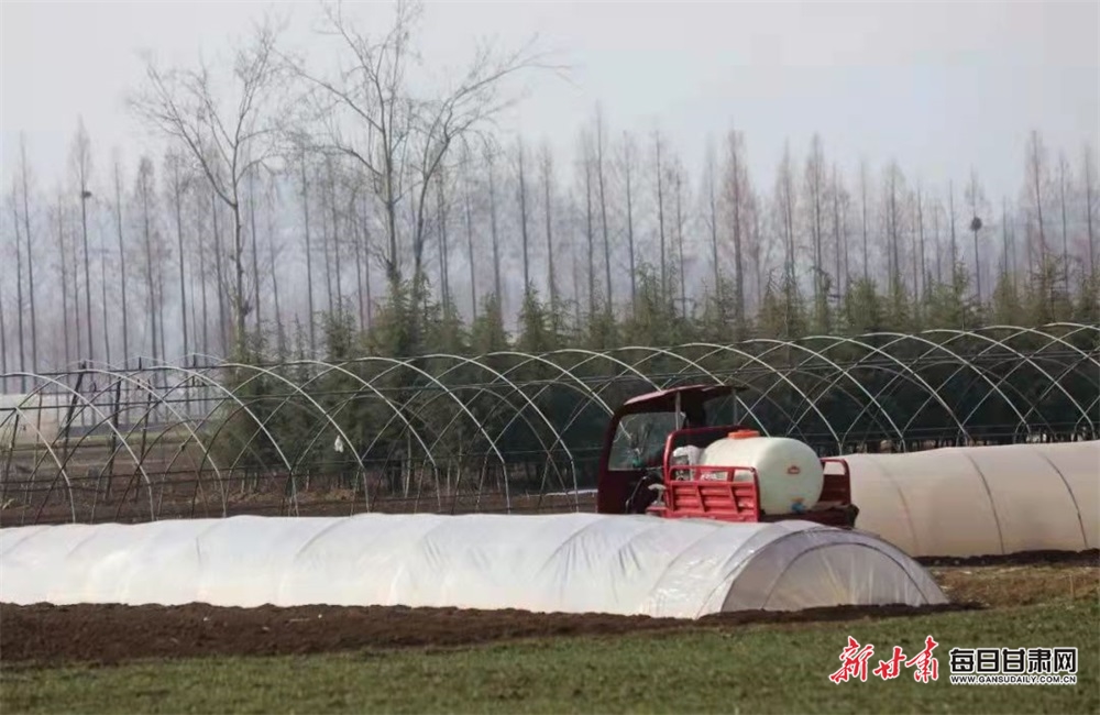 【乡村振兴图文列表+陇南标题列表】成县大地春意浓 山乡群众耕作忙