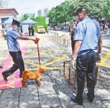 武汉高考交出圆满答卷 5个“零”背后值得铭记的瞬间