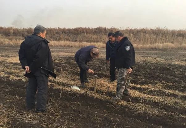 强治理 重保护 湿地生态显成效