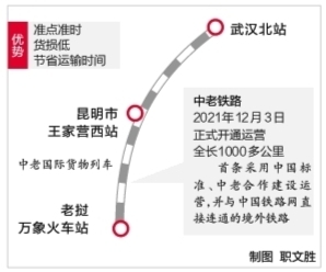 武汉货物首次踏上中老铁路 7吨防疫物资运往万象