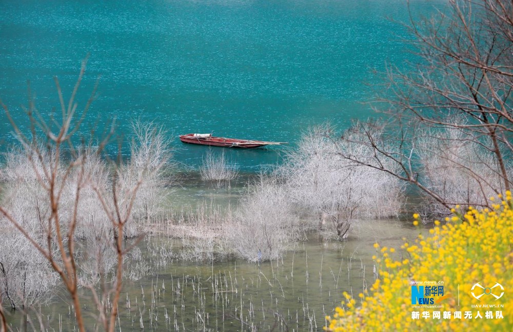 飞“阅”中国︱甘肃陇南：油菜花开碧水间_fororder_12