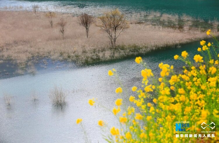 飞“阅”中国︱甘肃陇南：油菜花开碧水间_fororder_1128388946_16451483598981n