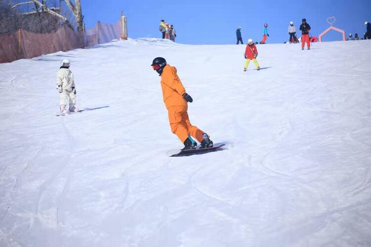 冬奥热带动哈尔滨“冰雪热”！南方俱乐部700人的滑雪团安排上