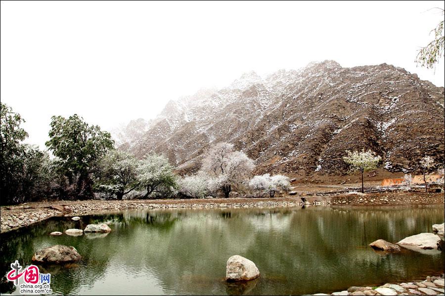 贺兰山岩画：让你魂牵梦绕的冰雪世界