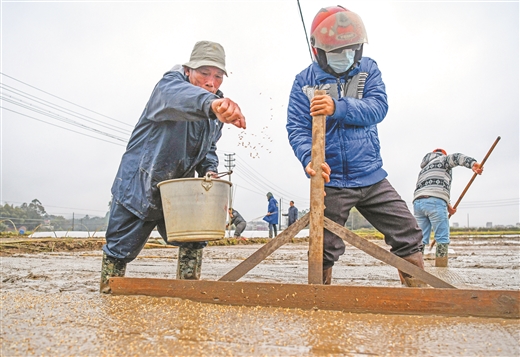 八桂人勤农事忙 一犁新雨破春耕