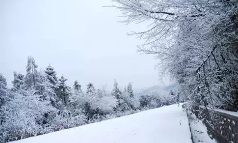 【环保视点专题　绿色美食　图文摘要】听说这些美食与雪景很般配！