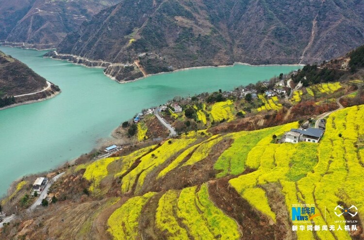 飞“阅”中国︱甘肃陇南：油菜花开碧水间_fororder_4