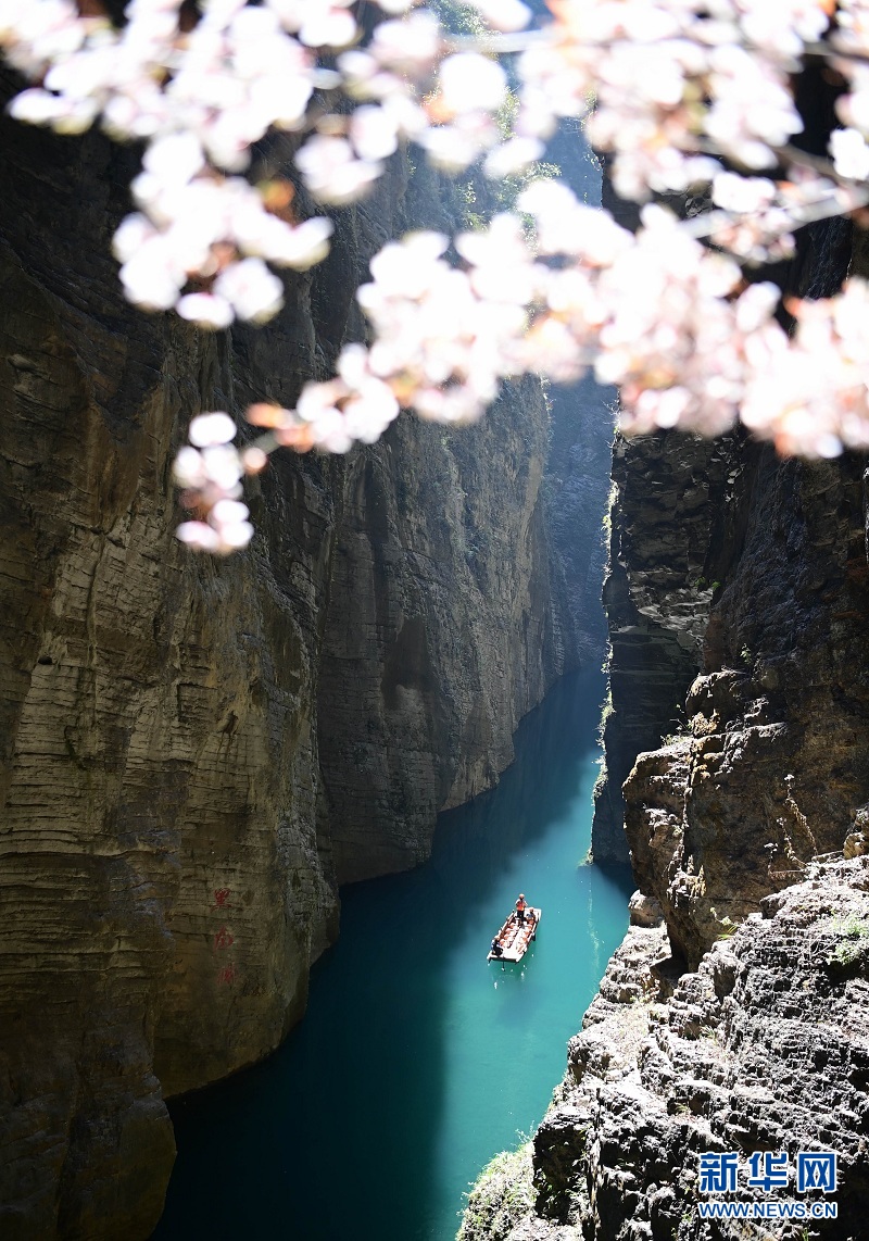 湖北鹤峰：峡谷春色醉游人