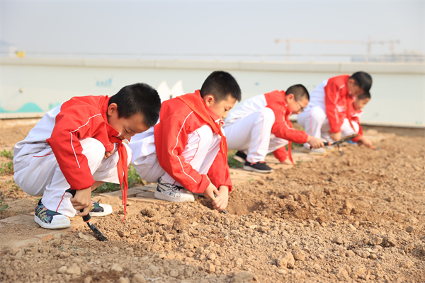 西安高新第三十一小学：拥抱灿烂春色 呵护绿色家园_fororder_图片16