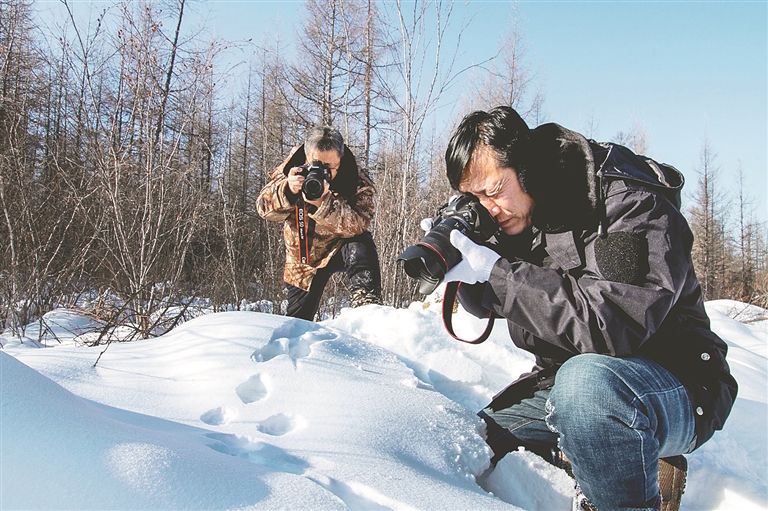 为期5年 野生动物专项调查启动