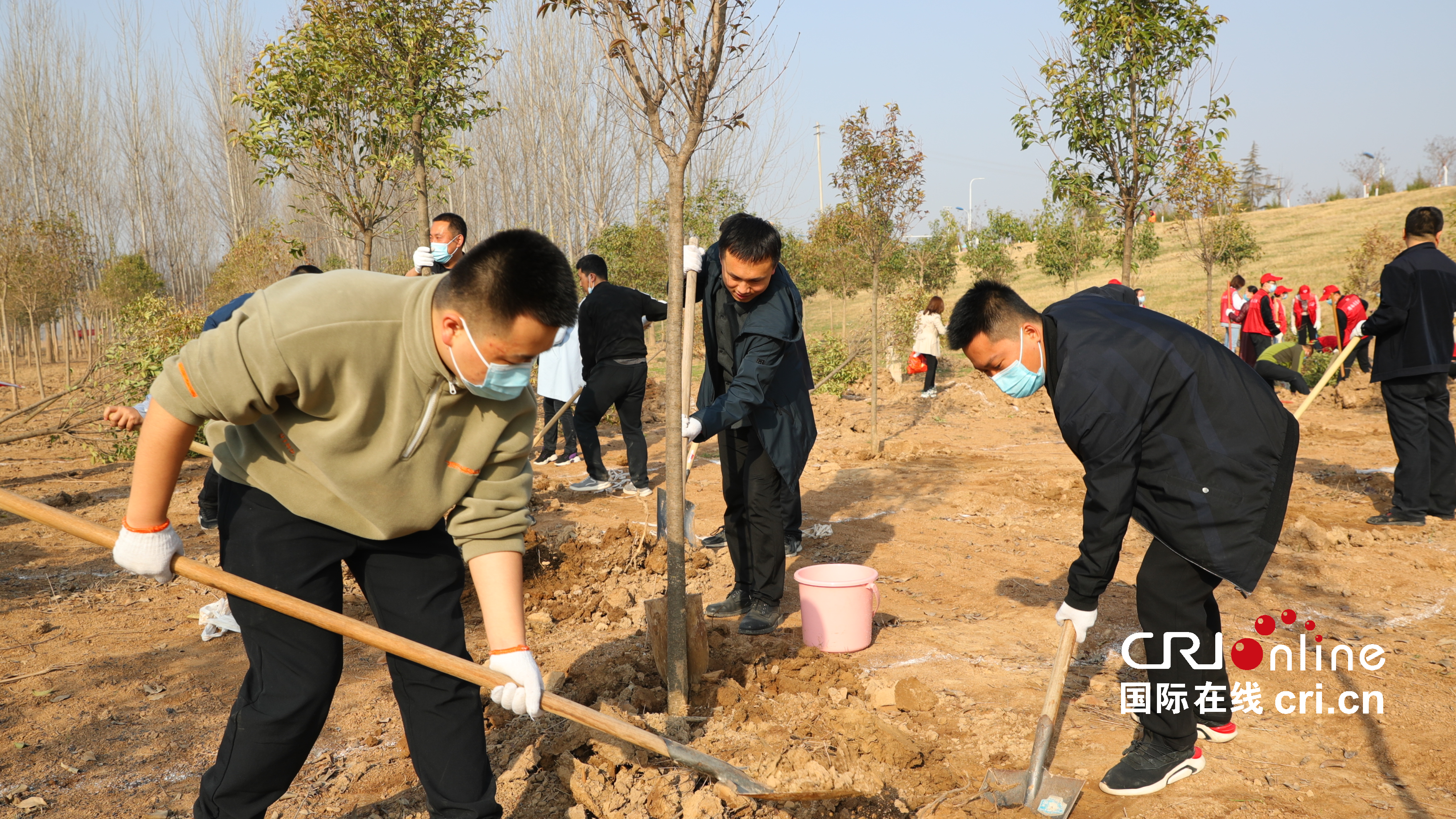 共建绿色秦东 渭南市开展2022年春季义务植树活动_fororder_WechatIMG2455 (1)