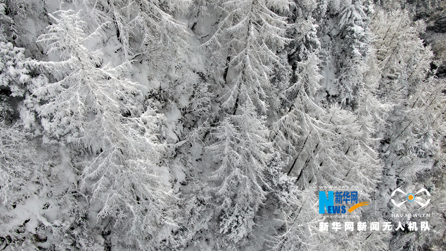 【“飞阅”中国】雪浴官鹅沟