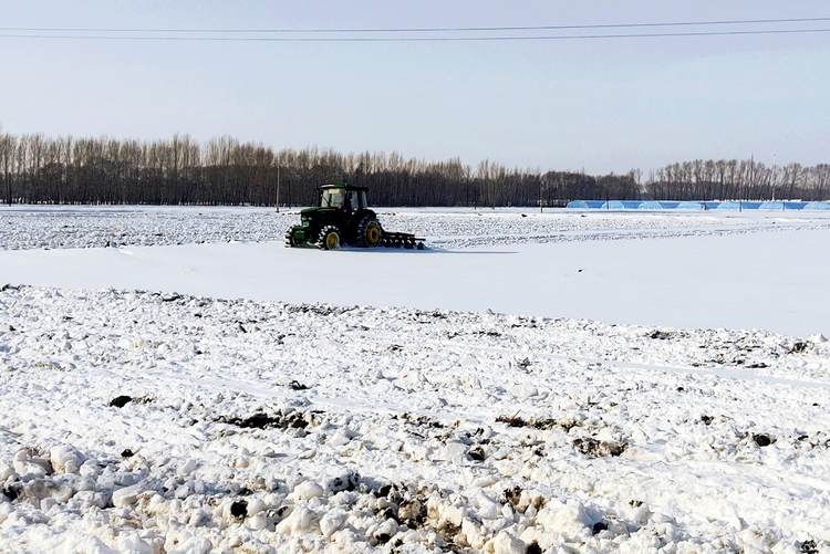 科技备春耕｜耙雪散墒 科学“开方”用好养好黑土地