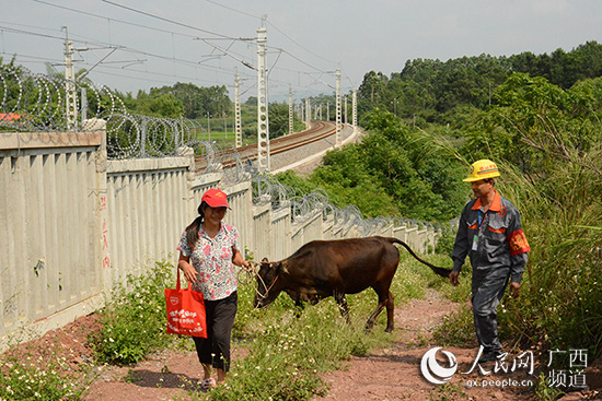 广西兴业：铁路沿线群防群治的“标本”