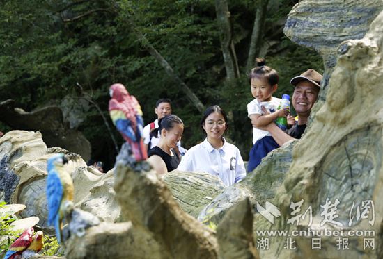 罗田天堂寨迎来避暑游高峰