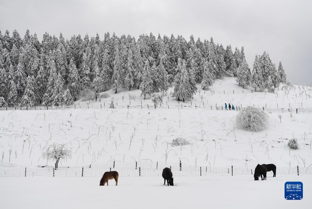 【城市远洋】重庆武隆：“冰雪世界”引客来