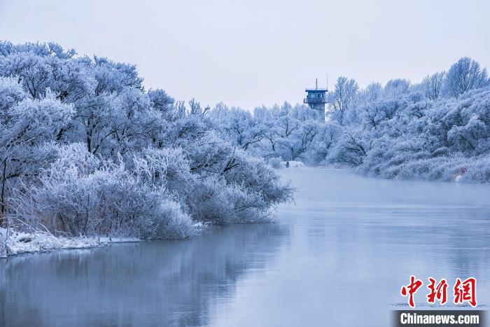 中俄界湖兴凯湖冰天雪地现美景