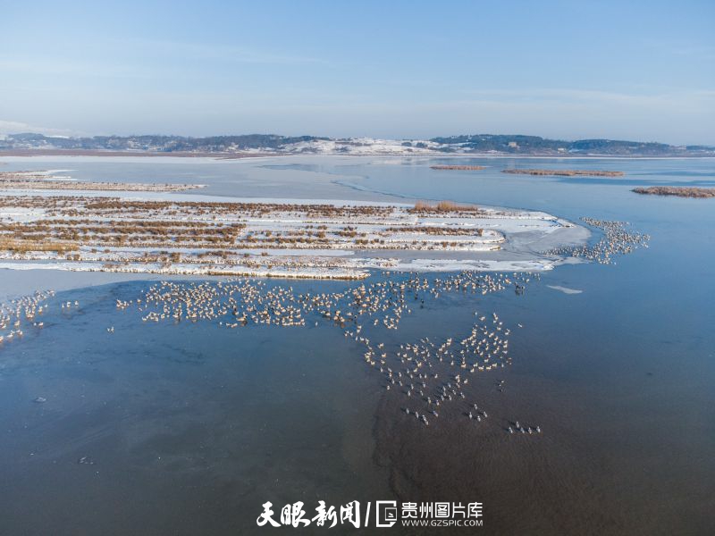 贵州威宁：春日草海 美景如画