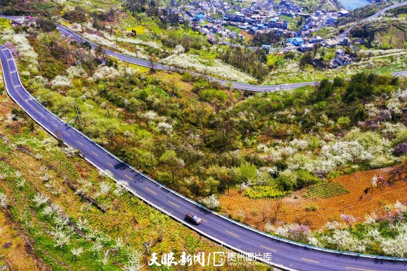 贵州黔西：一路风景 一路歌