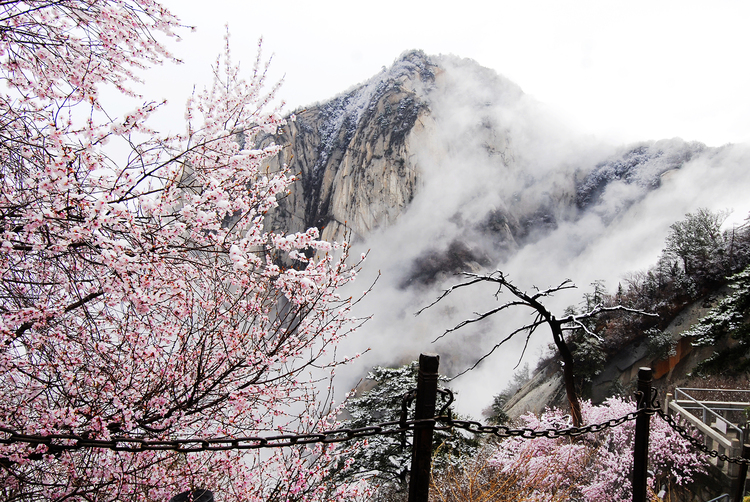 【与春天撞个满怀 打卡最美春景】陕西渭南：春已至，静看山间繁华_fororder_4