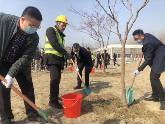 减碳添绿 中信银行南京分行开展公益植树活动