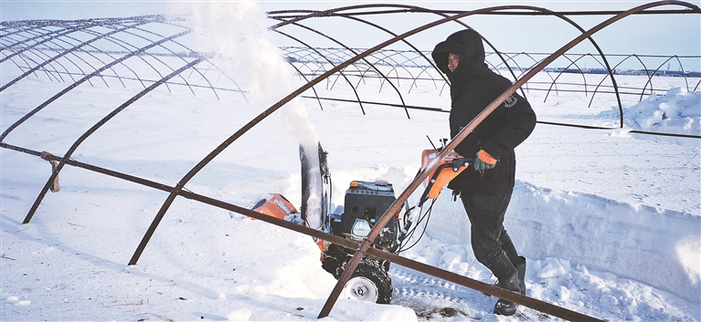 抚远：快清雪 早扣棚 备春耕