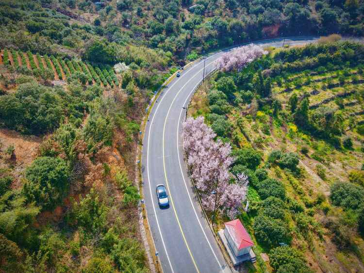 无锡滨湖：春到马山 定格美妙时光